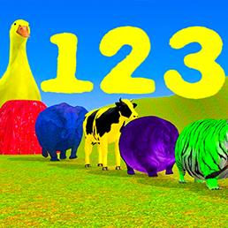 animals