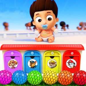 Mainan Bayi Lucu dan Paw Patrol