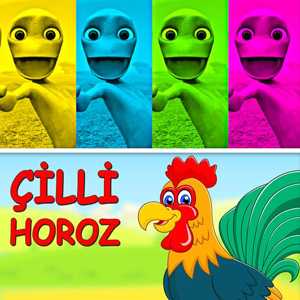 Meet the Colorful Friends