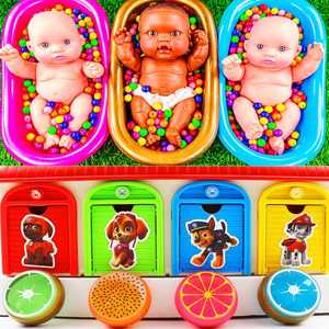 eggs toy