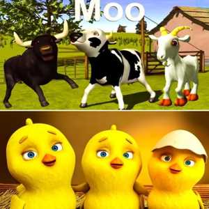 Animals Crush Match3