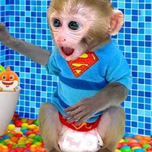 Little Monkey's Superhero Look