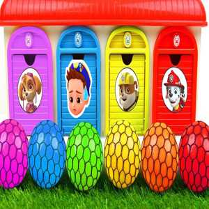 crocodile jigsaw puzzle