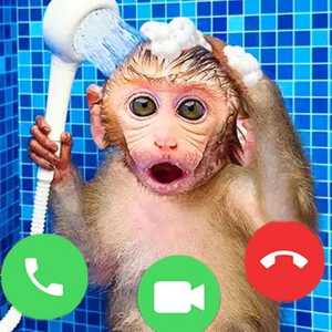 同じ動物を見つける