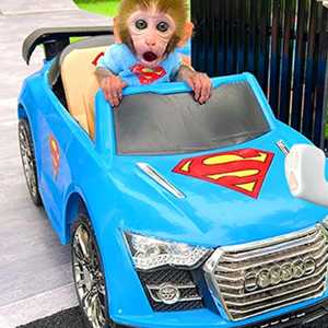 Driving MadnessDB Boy's Journey