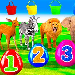 Animals Quiz