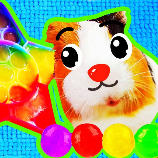 color ball matching shooter