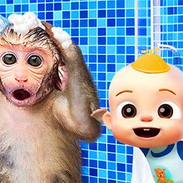 Color Fidget Pop Toy CC