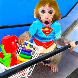 ขับรถ Madness DD Girl's Journey