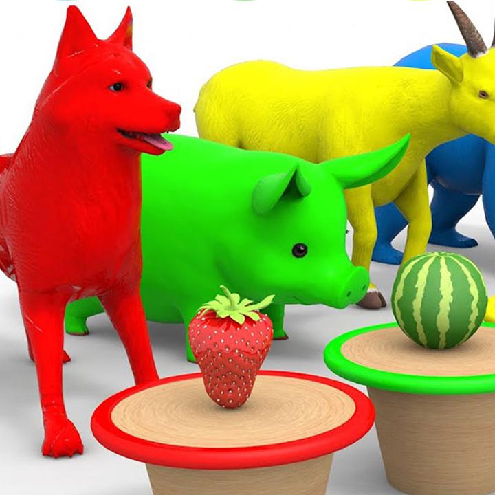 Tìm con vật giống nhau